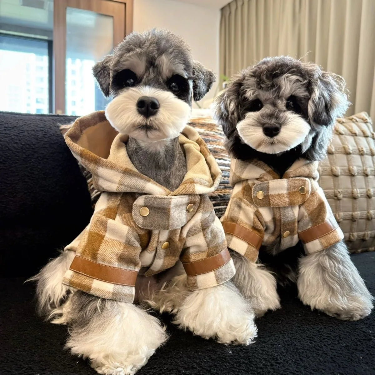 Pet Autumn and Winter Hooded Woolen Coat Dog Autumn and Winter Warm and Thick Teddy Autumn and Winter Coat Puppy Clothes