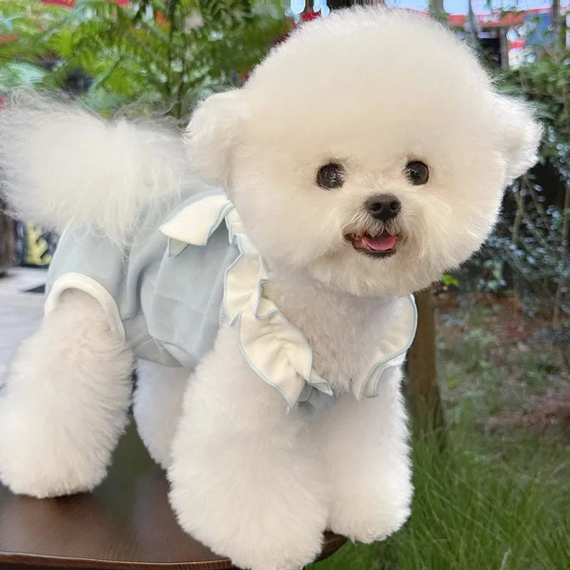 Teddy Four-Legged Neuter Suit Pet Autumn Vest Puppy Belly Protection Sleepwear Solid Colour Dog Clothes