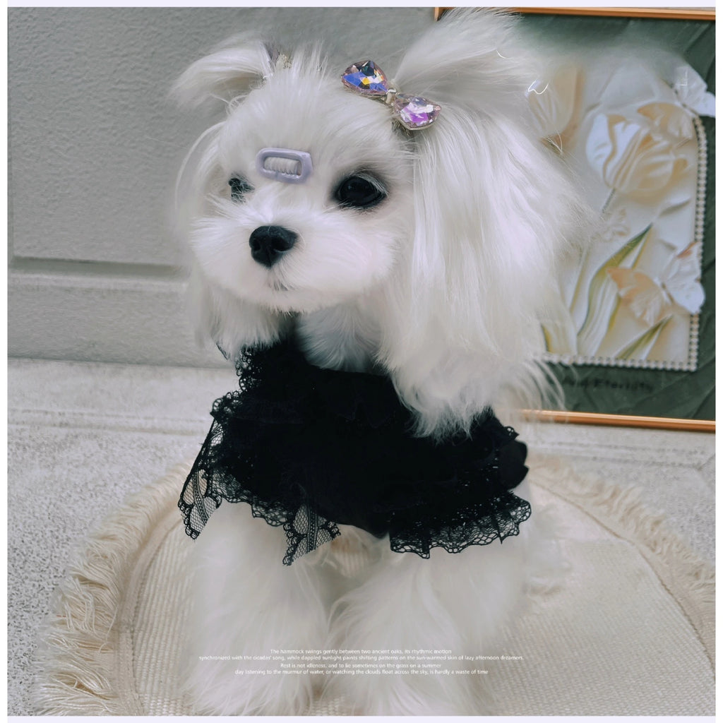 Pet Autumn/Winter Thin Velvet Bottom Shirt Yorkshire Teddy Bottom Lace Bow Elastic Tank Top Dog Clothes for Small Dogs Puppy