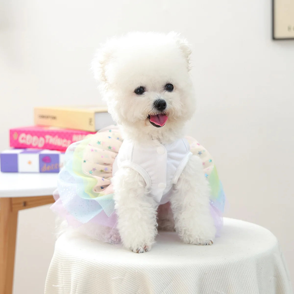 Fancy Birthday Elegant Suit For Dog White Vest With Colorful Tutu Skirt Pet Autumn Winter Dress Party Small Puppy Breeds Clothes