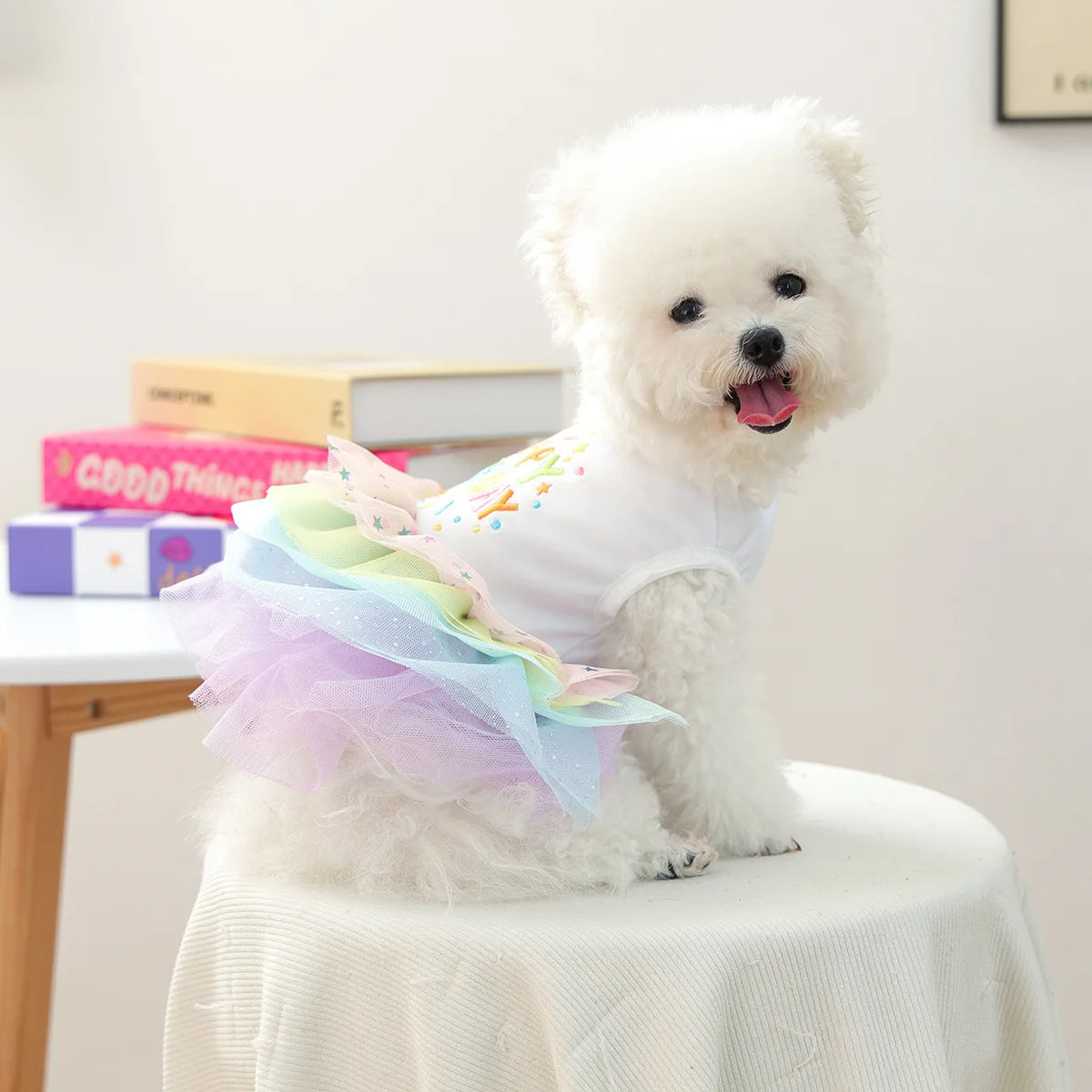 Fancy Birthday Elegant Suit For Dog White Vest With Colorful Tutu Skirt Pet Autumn Winter Dress Party Small Puppy Breeds Clothes