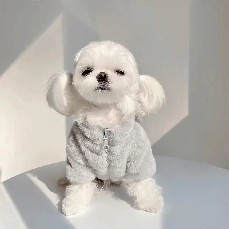 Pet autumn and winter thick rabbit fur long sleeve korean ins jacket maltese warm cotton jacket dog cat pet clothes