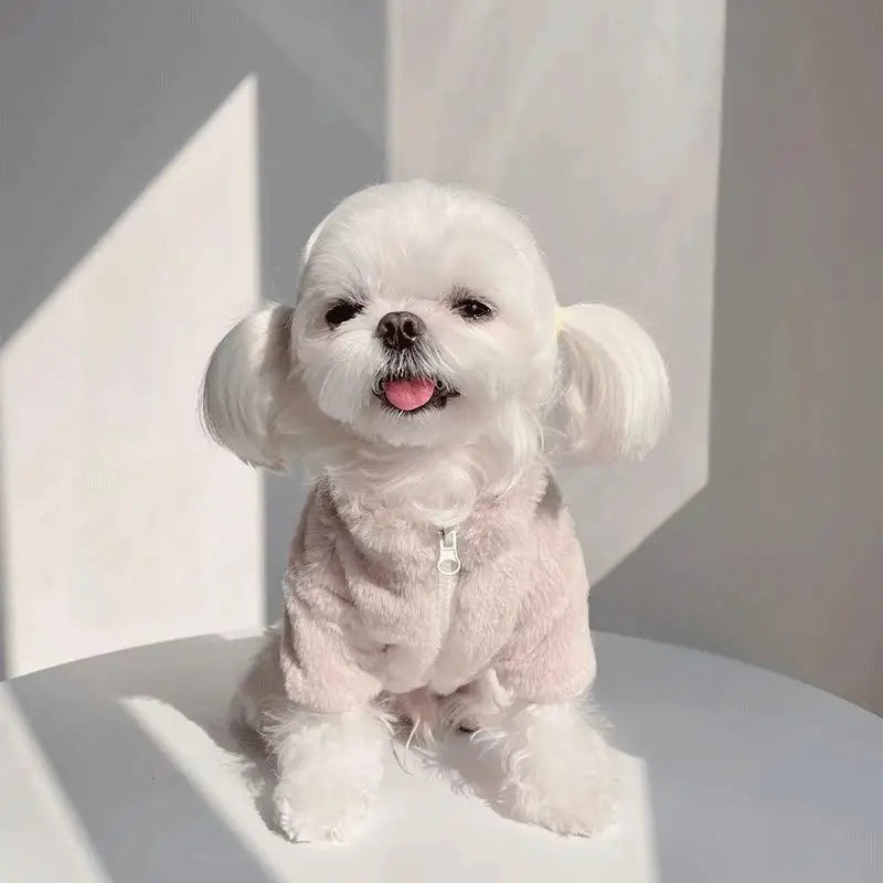 Pet autumn and winter thick rabbit fur long sleeve korean ins jacket maltese warm cotton jacket dog cat pet clothes